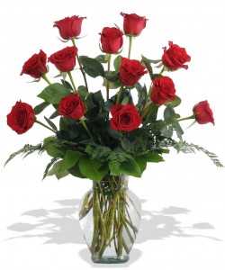 Dozen Roses Roses