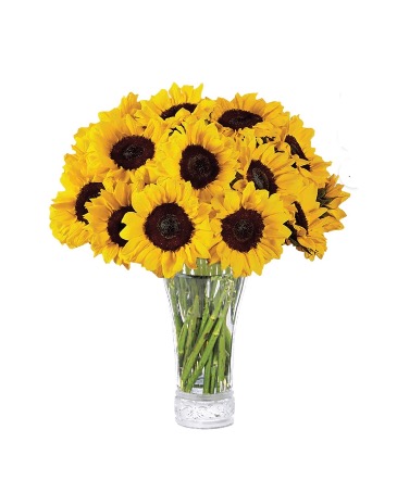 Sunflowers special Floral arrangement  in Pensacola, FL | Cordova Flowers and Gifts