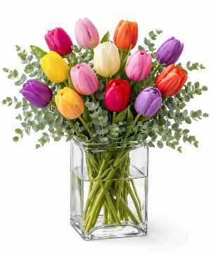 Dozen Tulips 
