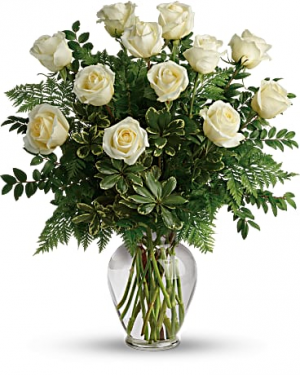 Dozen White Roses 