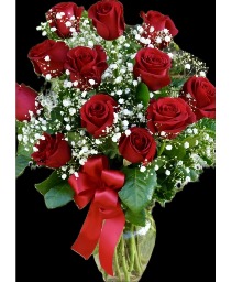 Rosa Rojo Dozen Roses