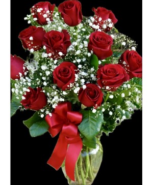 Rosa Rojo Dozen Roses
