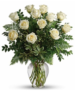 dozen white roses 