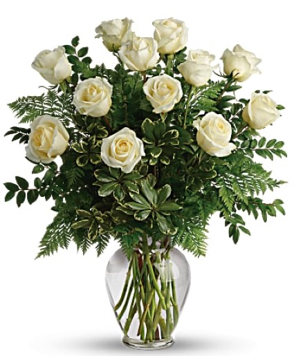 Dozen White Roses 