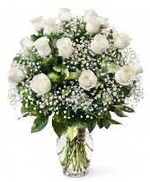 DOZEN WHITE ROSES 