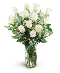 Dozen White Roses roses