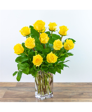 Dozen Yellow Roses 