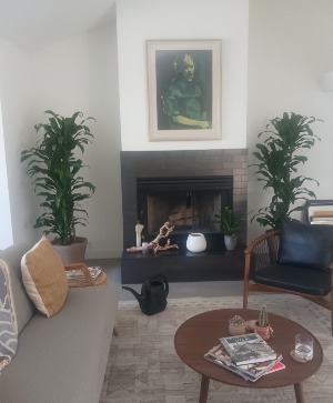 Draceana Michico 6' Plant For the Home