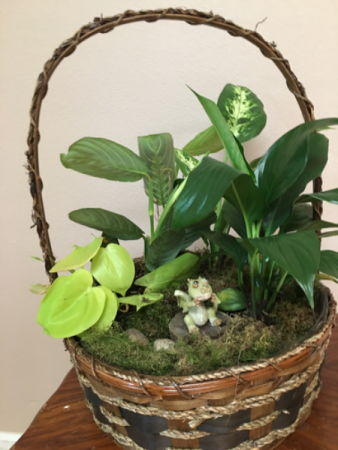 Dragon in the garden Plant basket with dragon in Renton, WA | Alicia's Wonderland II