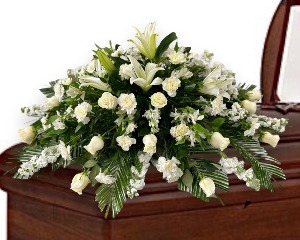 Dream of Lilies 