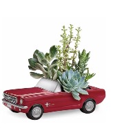 Dream wheels arrangement 