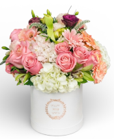 DreamBox All occasion