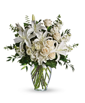 dreams from the heart  