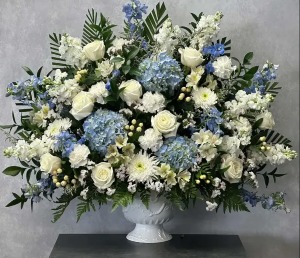 Dreams of Blue and White 