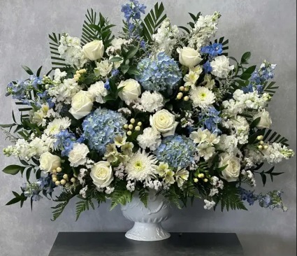 Dreams of Blue and White 
