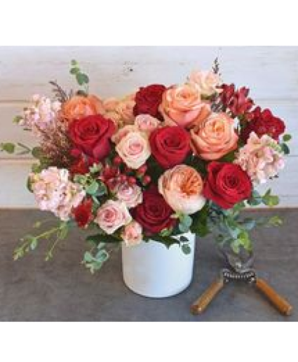 Dreamz and Roses 