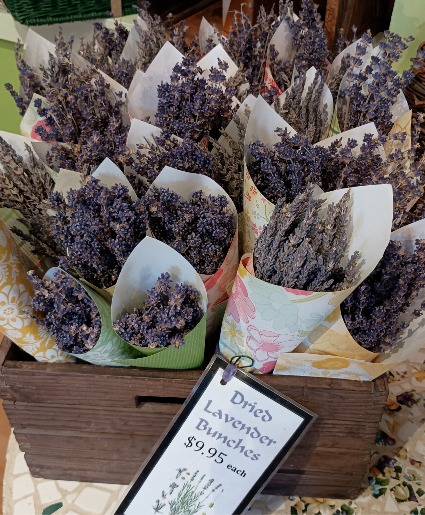 Dried Lavender  Bunches