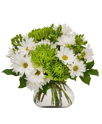 Dublin Days Arrangement