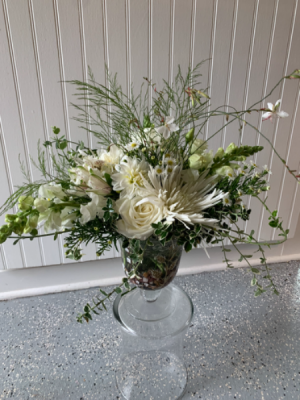 Duchess White  