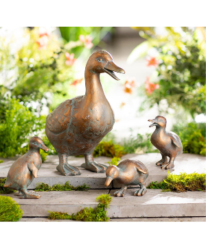 Duck Family 