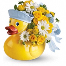 Ducky Boy 