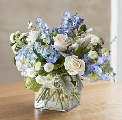 Dusty Miller Elegance Fresh Arrangement