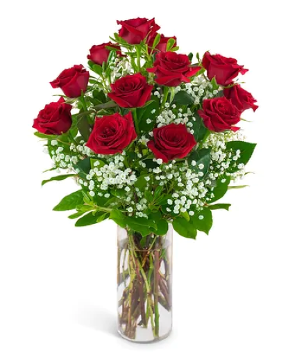 DZ Red Roses 