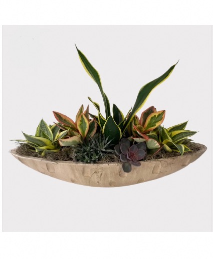 Large succulent planter 