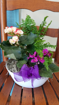 Early Spring Blooming Dish Garden 