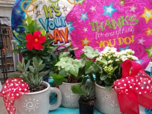 Earthly Gratitude  Natural Mug with plants