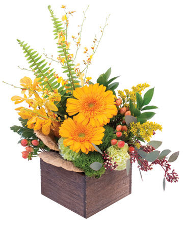 Earthy Indulgence Floral Arrangement in Darien, CT | DARIEN FLOWERS