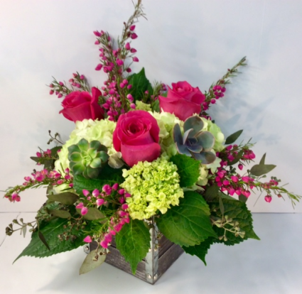 Earthy Blooms 