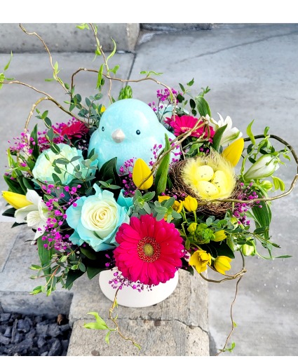 Spring Birdie 