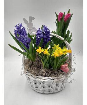 Easter Bulb planter  basket