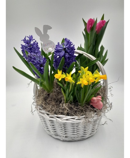 Easter Bulb planter  basket
