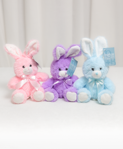 Bunny Plush