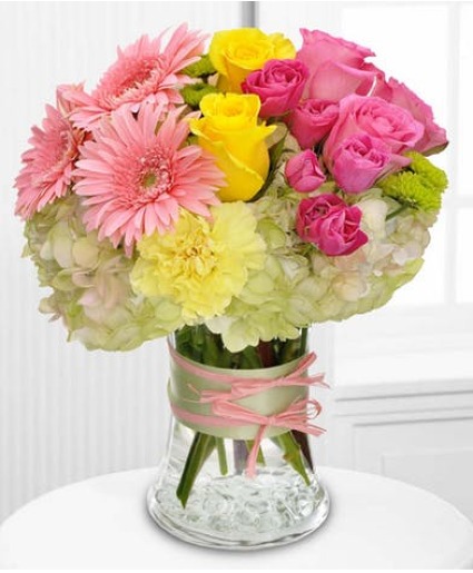 Colorful Blooms 