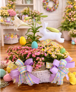 Easter Lily & Kalanchoe plants 