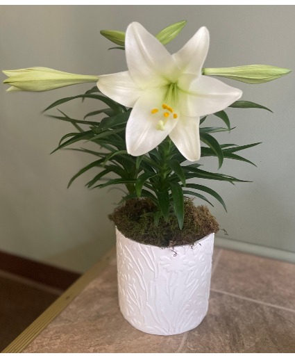 Lily Planter 