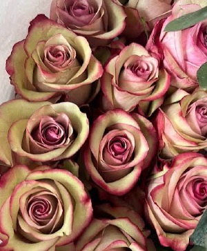 Ecuadorian Rose – Vintage Hand-Tie Bouquet  Hand Tie Bouquet 