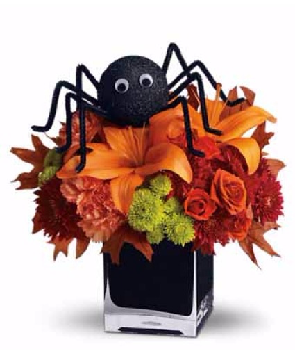 EEEEK SPIDERS Halloween