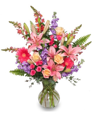 EFFERVESCENT BLOOMS  