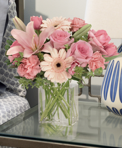 Efflorescence Lifestyle Arrangement
