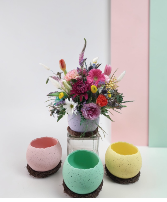 Eggstra special  container arrangment