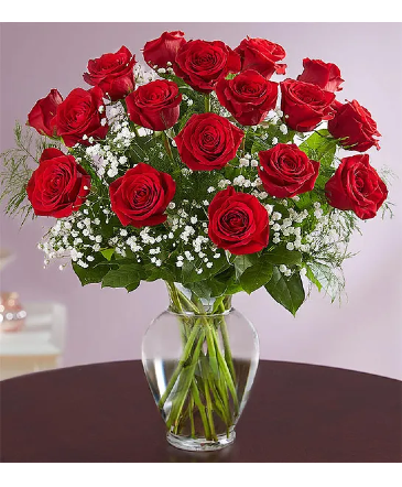 EIGHTEEN RED ROSES   in Lexington, KY | FLOWERS BY ANGIE