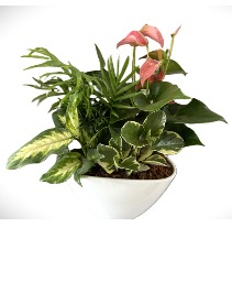 Eileen - Large White Planter
