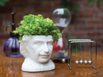 Einstein planter for 2" plants