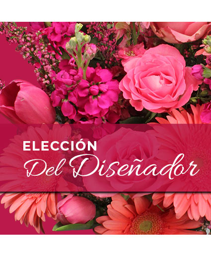 Elección Del Diseñador Ramo