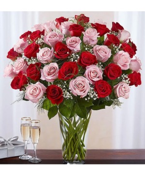 Elegance Long stem Pink and Red Roses 