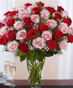 ELEGANCE LONG STEM PINK AND RED ROSES 